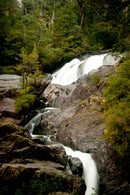 Navegação Puerto Blest e Cascata de los Cántaros com Traslado